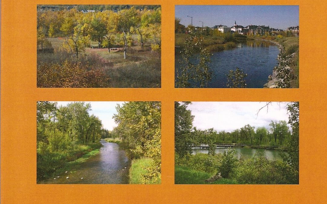 Discover Southeast Calgary’s Parks and Green Spaces